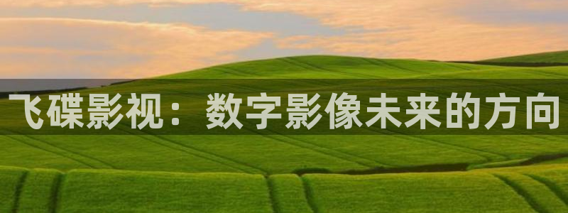 西瓜影院理论电影理论